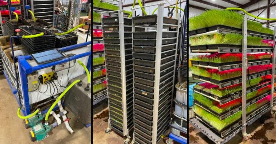 The Future of Feed is Here: Sprouting Gear Launches Scalable Licensing Program for Ranchers