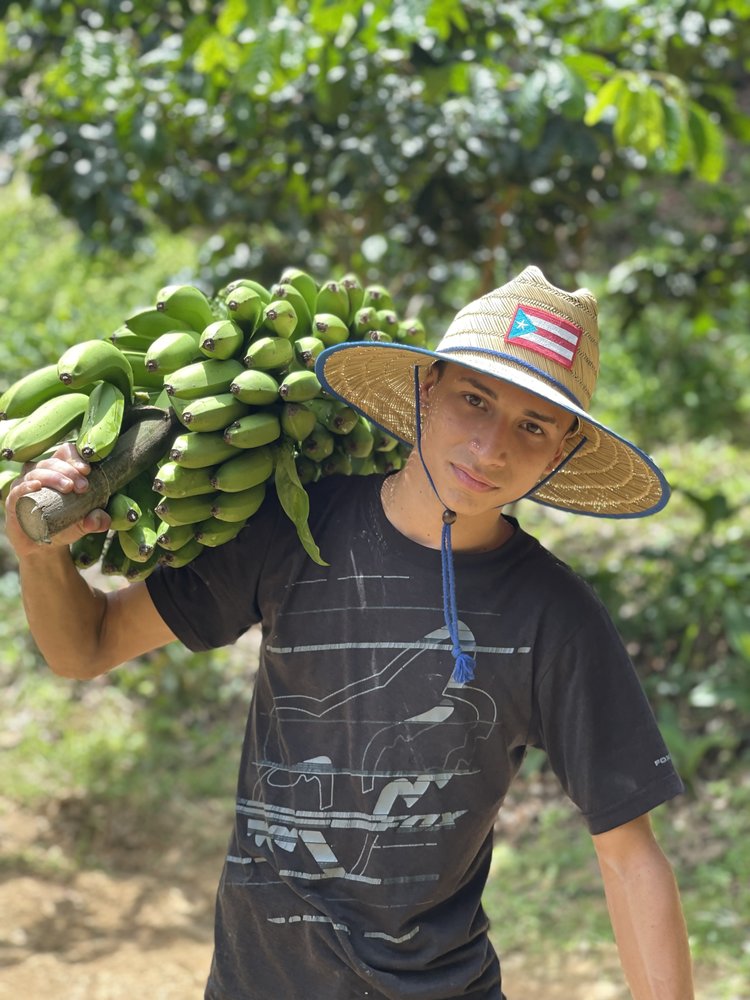 From Puerto Rico to NYC: How One Coffee Company Is Uplifting Micro-Farmers and Urban Communities