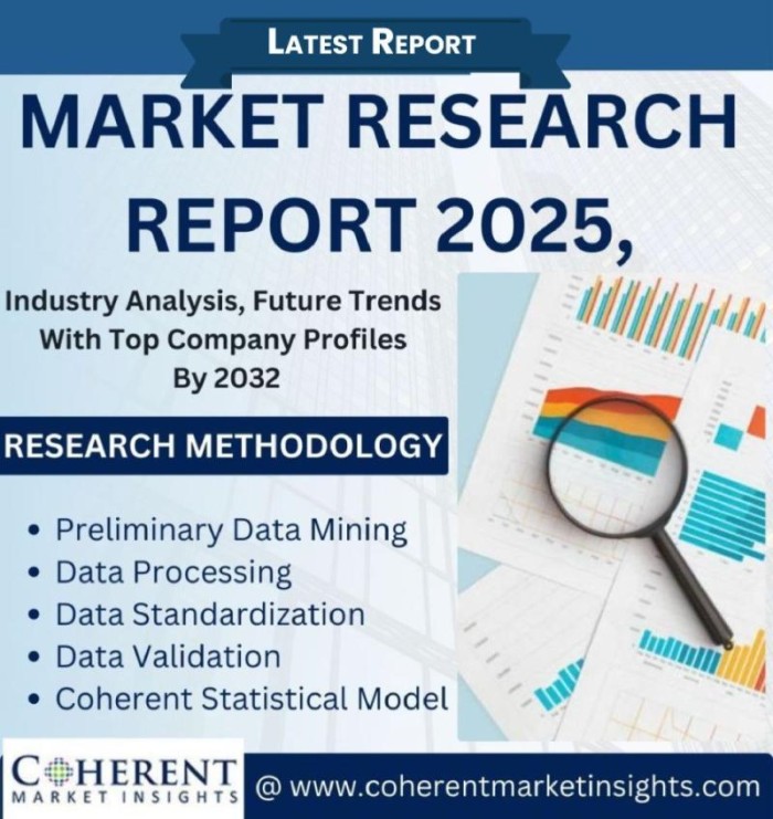 Europe IV Hydration Therapy Market Set to Witness Significant Growth by 2025-2032: Sechoir, ELIXIR, Swiss Medical Centre