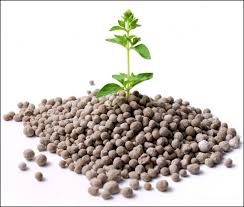 Phosphate Fertilizer Market to Witness Substantial Growth by 2031 – Emerging Trends and Revenue Forecast