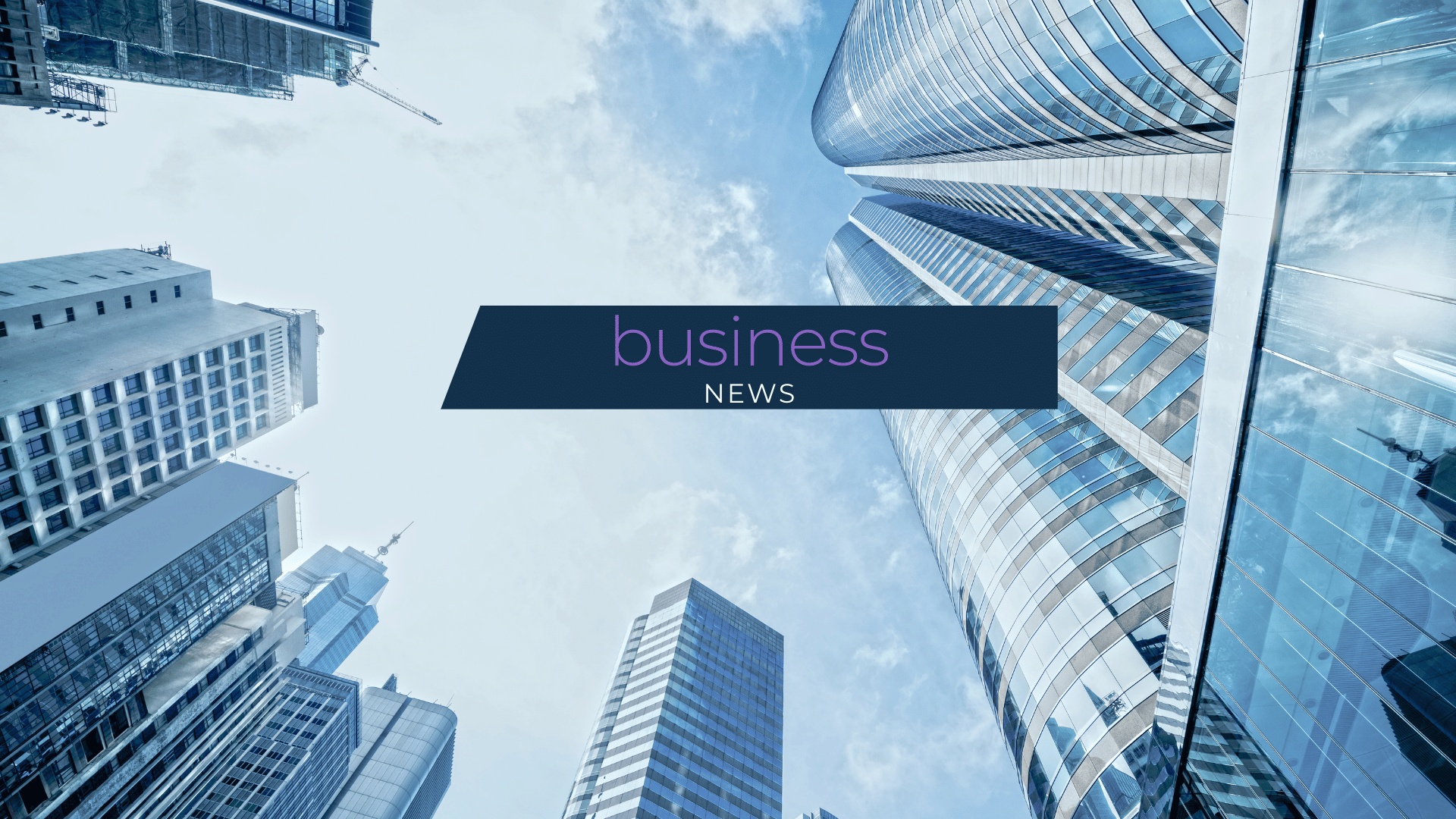 Digital Buyers Turn to Multi-Purpose Products as Best Offers Point Responds to Lifestyle Shifts