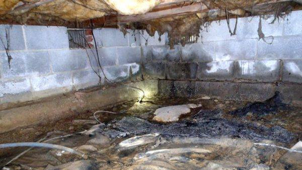 Crawl Space Waterproofing Near Me: Finding Trusted Pros