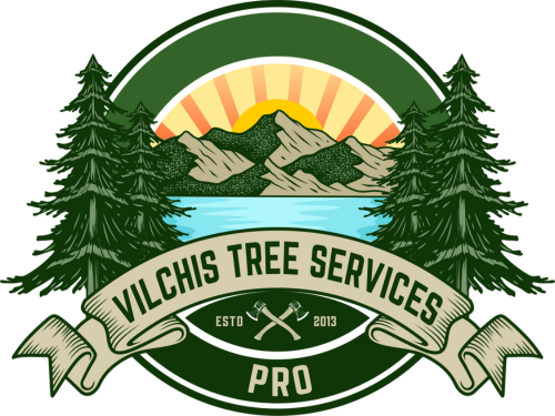 Vilchis Tree Services Pro Releases New Blog to Help Georgia Homeowners Identify Dangerous Trees Early