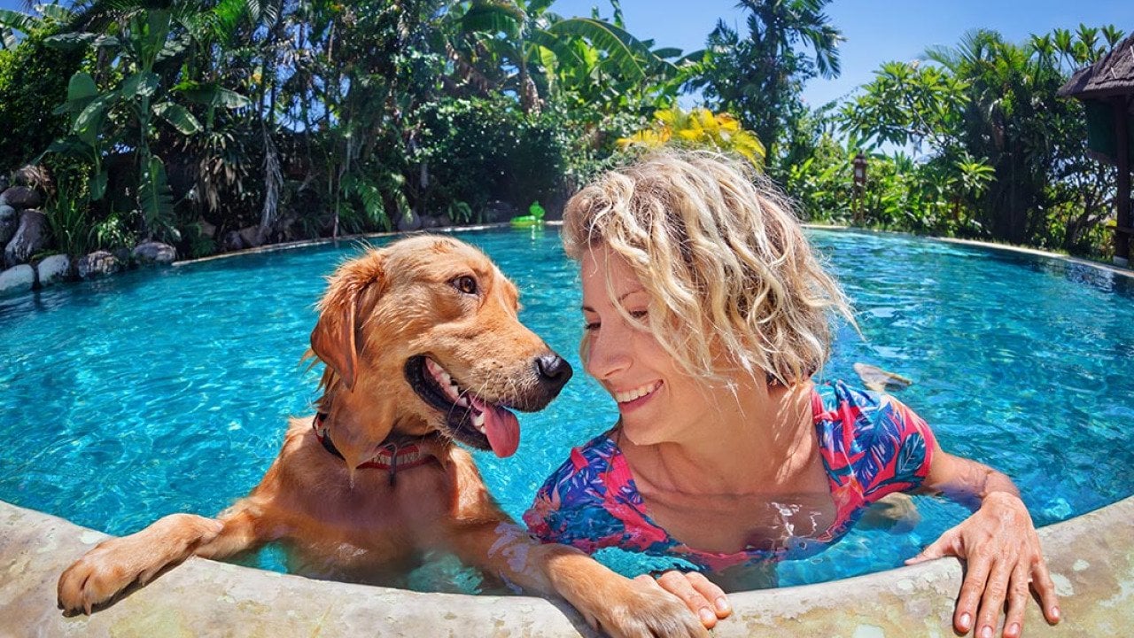 6 summer side quests for you and your pup