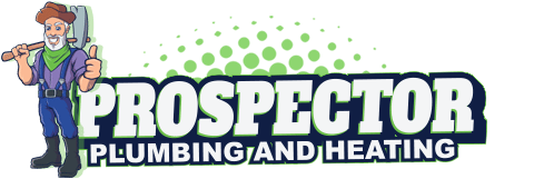 Top Reasons Why Fairbanks Homeowners Trust Our Expert Plumbing Team