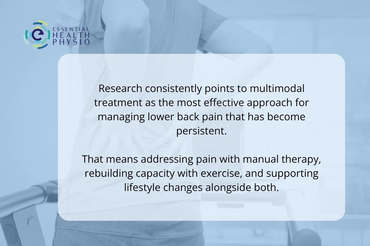 Physiotherapy Shailer Park | How Physio Helps with Lower Back Pain